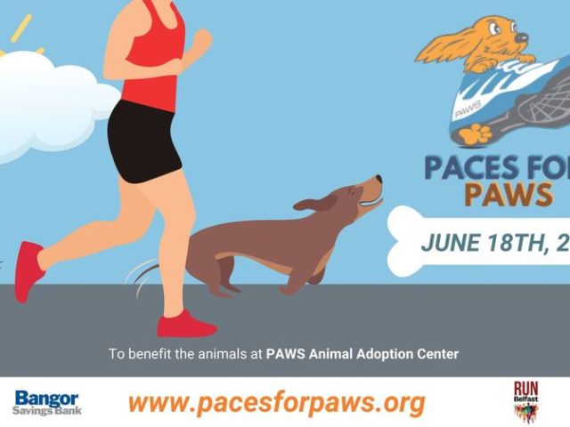 https://penbaychamber.com/wp-content/uploads/2022/06/Paces-for-Paws-640x480.jpg