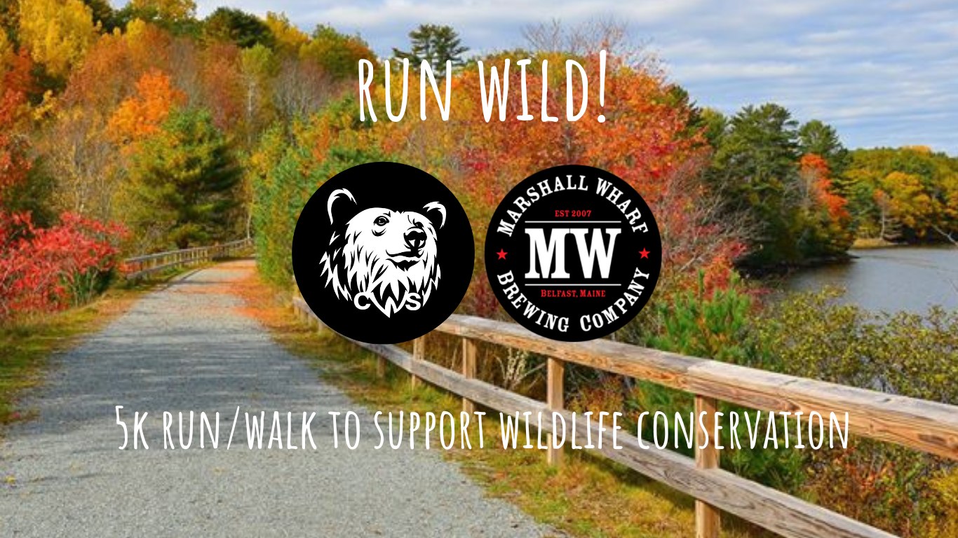 Run Wild! 5K Run/Walk to Support Wildlife Conservation Penobscot Bay