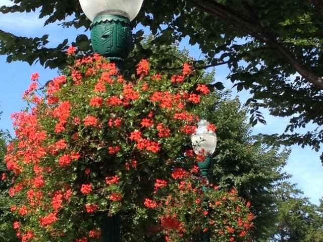 Sponsor a Camden Downtown Lamppost this season!