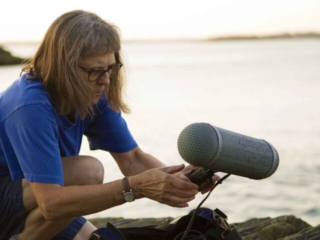The Art of Sound: Recordings from the Coast of Maine