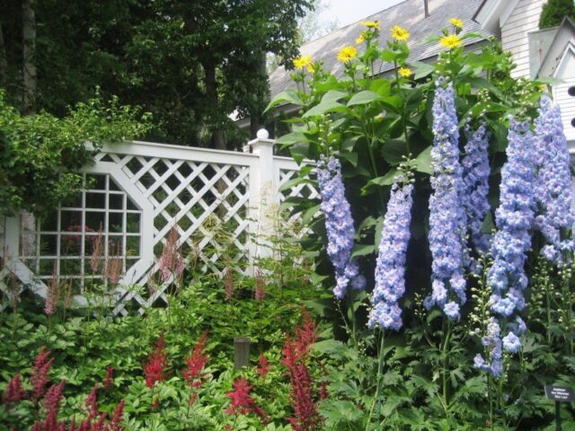 https://penbaychamber.com/wp-content/uploads/2023/03/Garden-Tour-640x480.jpg